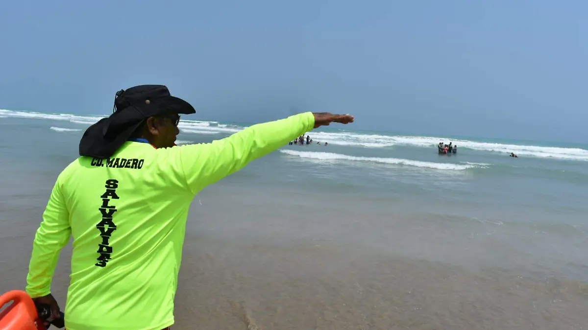 Flota tortuga muerta en playa Miramar